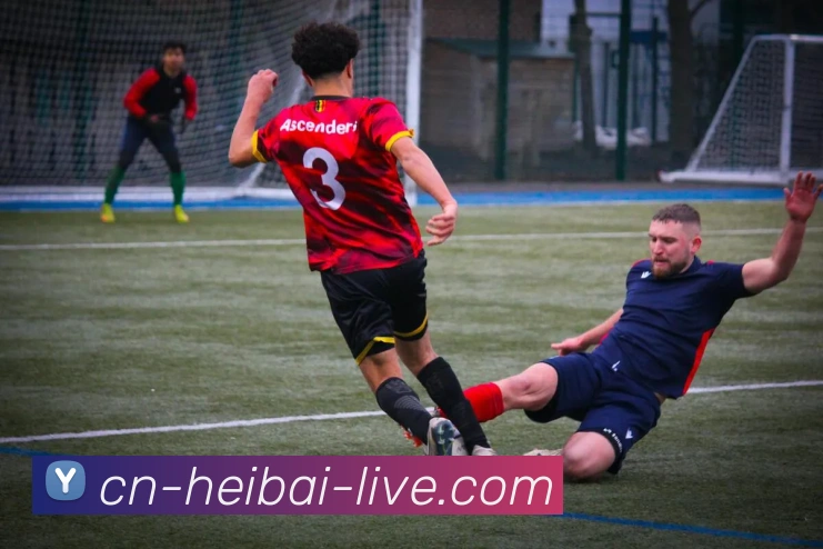 黑白体育发展历程